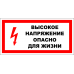 Знак A013 Высокое напряжение. Опасно для жизни.